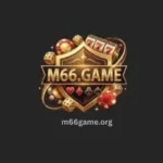 M66 Game